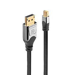 Lindy 36311 DisplayPort cable