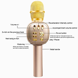 Avis Wewoo Microphone haute qualité sonore portable KTV enregistrement karaoké à condensateur sans fil Bluetooth (noir)