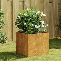 Maison Chic Jardinière,Bac à fleurs - pot de fleur 40x41x40 cm acier corten -GKD55695