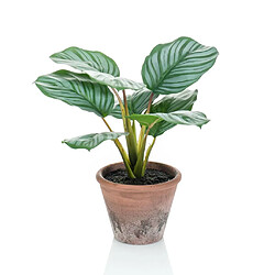 Emerald Calathea Orbifolia artificiel Terra 32 cm en pot