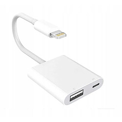 GUPBOO Adaptateur Lightning vers USB iPhone iPad,JL771