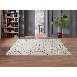 Vente-Unique Tapis shaggy berbère - 160 x 230 cm - Beige et noir - JABARI