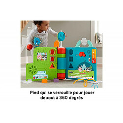 Avis Livre d activités Géant 2 en 1 Fisher Price