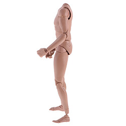 Épaule Large 1: 6 Scale Action Figure Mâle Aucun Jouet De Corps De Cou Pour TTM18 TTM19 pas cher