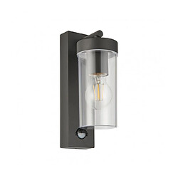 Saxby Lanterne de jardin Hayden Acier inoxydable,alliage Polycarbonate,Aluminium Anthracite gris,plastique transparent 26,2 Cm