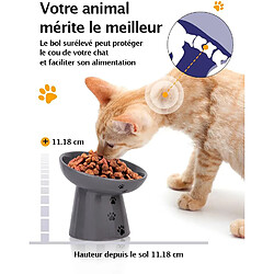 Avis YYHY 15cm/118ml Mangeoire Lente pour Chats,Bol de Nourriture pour Chat Mangeoire Lente surélevée pour Chiens Bol en céramique pour Chat Anti-Vomi,Gris