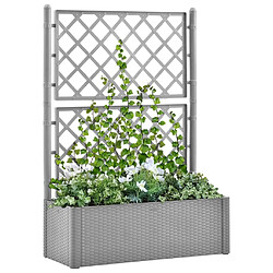 Maison Chic Jardinière,Lit surélevé de jardin - Bac à fleurs - pot de fleur et treillis et système d'arrosage Gris -GKD44089