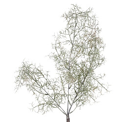 BigBuy Home Plante décorative Polyéthylène 20 X 15 X 75 CM