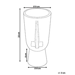 Avis Beliani Vase à fleurs ARTEMIS fait à la main Céramique 22 cm Noir