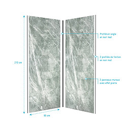 Acheter Aurlane Kit panneaux pierre et profile