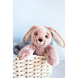 Avis Histoire d'Ours doudou sweety mousse lapin pm