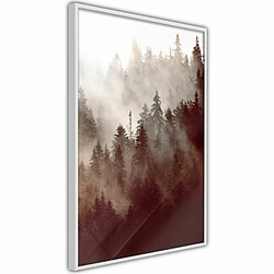 Paris Prix Affiche Murale Encadrée Forest Fog 30 x 45 cm Blanc