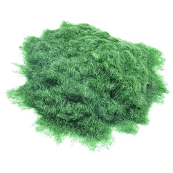 Avis 30g artificielle herbe poudre matériaux de construction décoration bricolage vert foncé