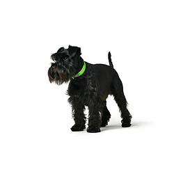 Collier pour Chien Hunter Convenience 53-61 cm L/XL Vert