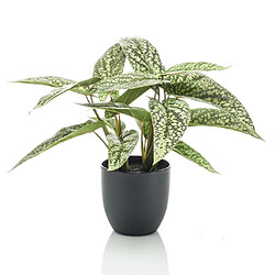 Emerald Calathea artificiel Dots 38 cm en pot