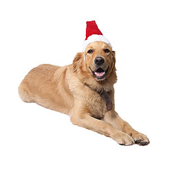 Adorable chat chien chat Noël chapeau de noël pour animaux de compagnie costume de noël outfit l pas cher