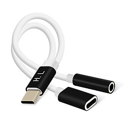 Avizar Adaptateur Audio et Charge USB-C vers Jack 3.5mm et USB-C Compact 12cm - Noir