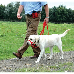 Avis Halti Licol Educatif Anti-Traction Dressage pour Chien Taille 3 Rouge