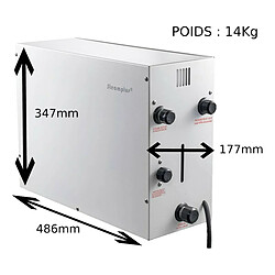 Desineo [12Kw] Steamplus Générateur de vapeur pour Hammam à usage domestique vidange automatique