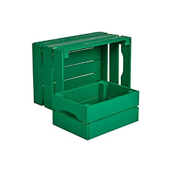 Pinus Caisse de rangement en pin grand modèle 46 x 31 x 25 cm vert.