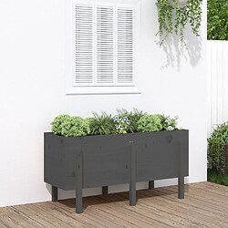 Maison Chic Jardinière,Lit surélevé de jardin - Bac à fleurs - pot de fleur gris 121x50x57 cm bois de pin massif -GKD80921