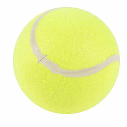 Paris Prix Jouet pour Chien Balle de Tennis 13cm Jaune