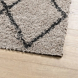 Avis vidaXL Tapis shaggy à poils longs moderne beige anthracite 80x200 cm