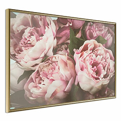 Paris Prix Affiche Murale Encadrée Pastel Peonies 30 x 20 cm Or