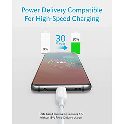 Câble USB C vers USB C Câble de Charge Rapide Anker PowerLineIII 30cm,60 W Power Delivery PD pour Apple MacBook,iPad Pro,Samsung Galaxy S10 etc.