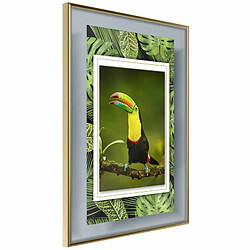 Paris Prix Affiche Murale Encadrée Toucan in the Frame 40 x 60 cm Or