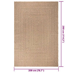 vidaXL Tapis ZIZUR 200x290 cm aspect de jute intérieur et extérieur pas cher