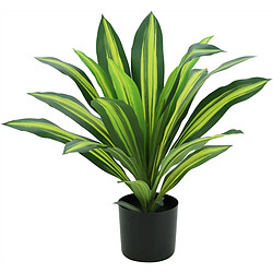 Jardindeco Dracena artificiel 22 feuilles hauteur 50 cm.