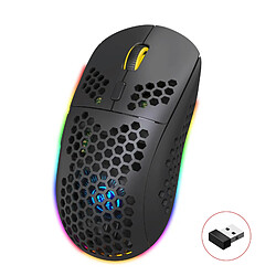 Yonis Souris Gamer Sans Fil RGB Trois Modes