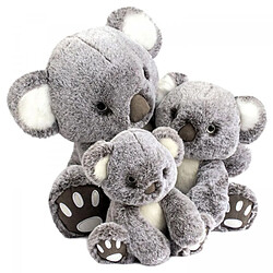 Histoire d'ours Koala 25 cm HO2969