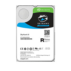 Seagate Technology Seagate SkyHawk AI 10 To (ST10000VE0008)