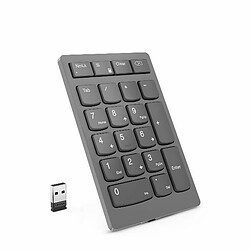 Clavier numérique Lenovo 4Y41C33791 Noir Gris