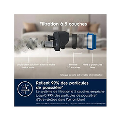 Acheter Electrolux Aspirateur balai ES52CB18UG