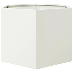 Avis vidaXL Jardinière blanc hexagone 69x60x45 cm acier