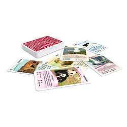 Avis Mercury SA Ass Altenburger 22572087 Quartet d'animaux Sauvages, Jeu