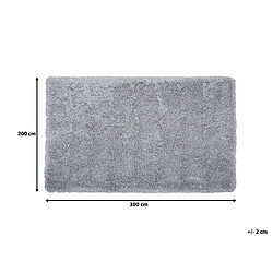 Beliani Tapis gris clair 200 x 300 cm CIDE