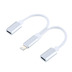 Acheter Wewoo Adaptateur blanc pour iPhone X / 8 et 8 Plus / 7 7 Plus / 6 6s 6 Plus 6s Plus / iPad, soutien IOS 11,2 12cm 8 broches Lightning mâle à double câble d'adaptateur femelle 8 Lightning,