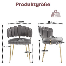 Avis ComfortXL Chaise en Velours avec Accoudoirs, Lot de 2, Moderne et Confortable, Pieds Métalliques - Gris