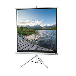 Ecran de projection sur pied celexon Economy 133 x 133 cm - White Edition