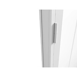 Acheter Vente-Unique Bloc porte réversible en aluminium et verre trempé style atelier - H204 x L73 cm - Blanc - ERMELO