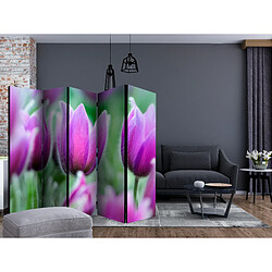 Artgeist Paravent - Purple spring tulips II [Room Dividers] [225x172]