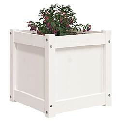 Acheter Maison Chic Jardinière,Bac à fleurs - pot de fleur blanc 40x40x40 cm bois de pin massif -GKD34208