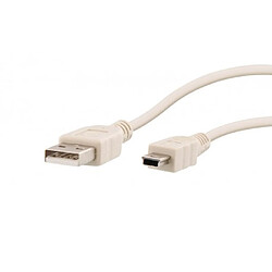 T'Nb TNB USBMIUSB1 - Câble USB 2.0 A M/mini USB 5 Pin M 1m - beige