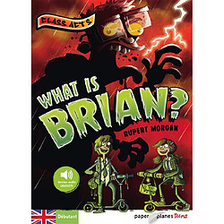 What is Brian ? - Occasion