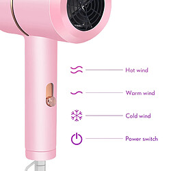 Acheter Universal Sèche-cheveux professionnel froid et chaud 8000 vent fort mini sèche-cheveux souffleur électrique air collector anion nano 210 240V | Sèche-cheveux (rose)