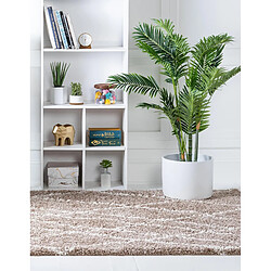 Acheter Hadorn Tapis shaggy 395x300 Marron Lachen Fence